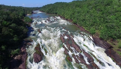 Jungle rapids