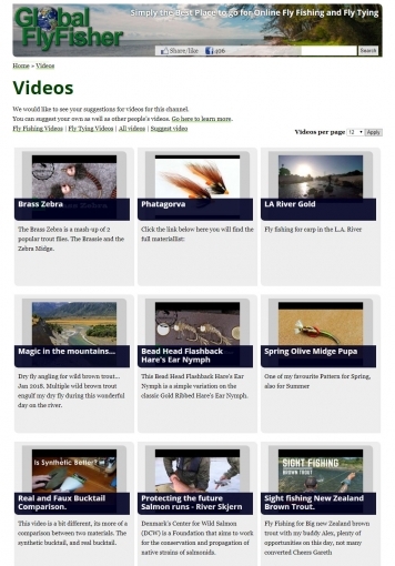 The video page