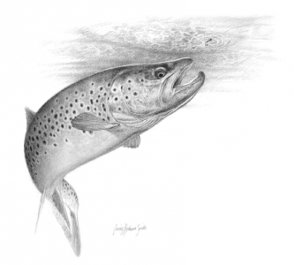 Products – Tagged trout fishing painting – Craig Bertram Smith