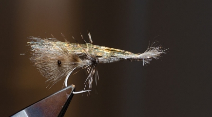 Equator Shrimp Pattern: Fly Tying Video  The Caddis Fly: Oregon Fly Fishing  Blog