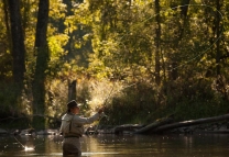 Fly Fishing Scene By Adriano Manocchia