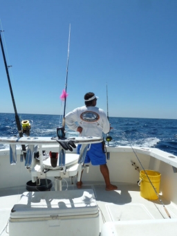 Tight Lined Tales of a Fly Fisherman: Allen Fly Fishing Crew + Custom 14wt  Glass Rod = Cabo Sailfish