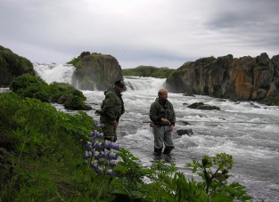 Raven NJ, Global FlyFisher