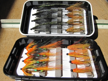 Bulk 1000 Fishing Bait Hooks Lot W/Boxes X-Strong Shank Carp Salmon Flies  Tying : : Home