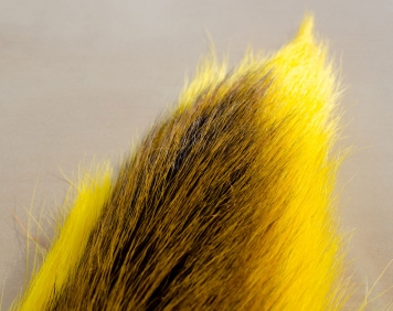 Yellow Jacket Bucktail/Hairwing - FLYMPH FORUM