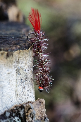 wooly worms  the braiding post