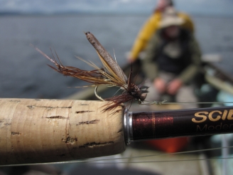 Lough Conn trout fishing, Global FlyFisher