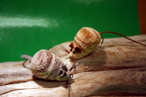 Easy mouse fly tying tutorial: White Belly Deer Mouse Fly Tying with Larva  Lace 