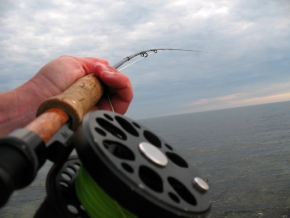 What is a fly rod?, Global FlyFisher