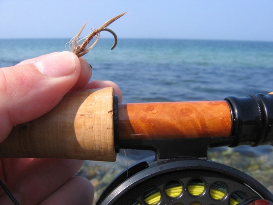 Never fish with a broken hook!, Global FlyFisher