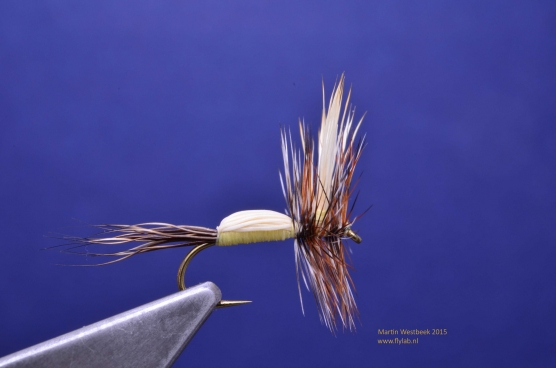 Taming the Humpy, Global FlyFisher