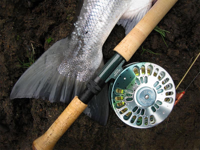 Gotta have!, Global FlyFisher