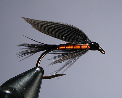 Blue Lines Fly Fishing— Book Review: Wet Flies by Dave Hughes