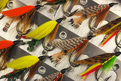 Fly Fishing Lure Collection From : The Green Beauty Streamer Fly