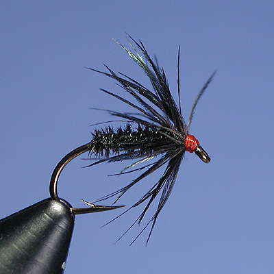Brown Hackle Peacock - 14 | Jackson Hole Fly Company