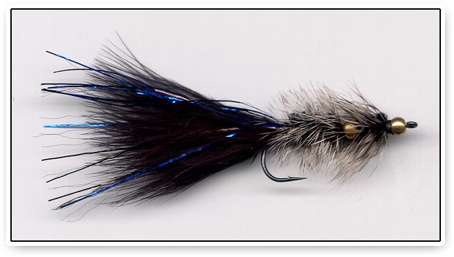 Black Woolly Bugger