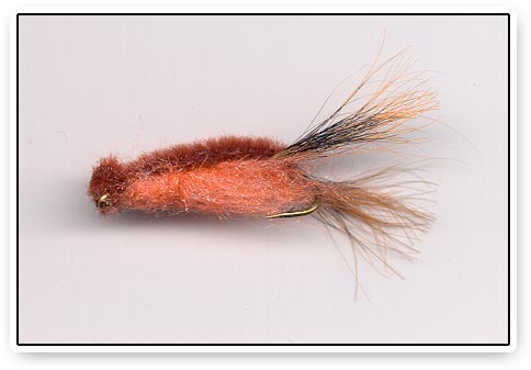 My Favorite Smallmouth Bass Fly, Murray's Heavy Hellgrammite