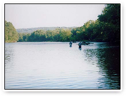 Susquehanna River fishing sticker Smallmouth Bass decal