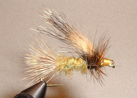 Groundhog Caddis - Fly Tying Appalachian/Great Smoky Mountain