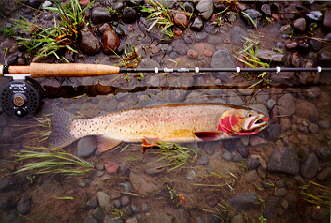 Tiber Outfitters - Steve's Popular Trout Pattern Flies