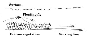 Fly Fishing with the Muddler Minnow (Learn How to Fish it Deep and Dry) -  Guide Recommended