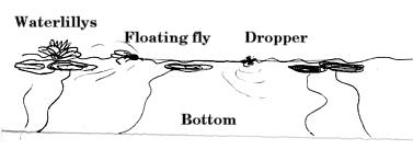 Fly Fishing with the Muddler Minnow (Learn How to Fish it Deep and Dry) -  Guide Recommended