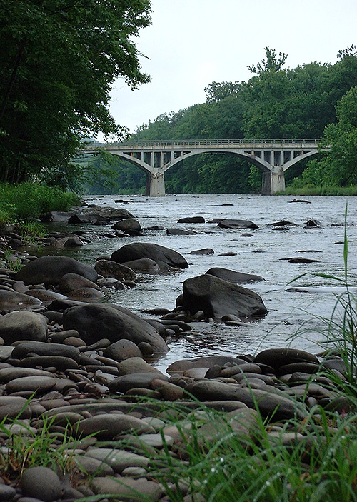 Fly Fishing Report On the Esopus River (Creek) in New York - The