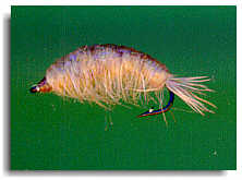 The Floating Shrimp | Global FlyFisher | One of Hanafi Saleh's patterns