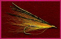 Golden Shiner Pattern 