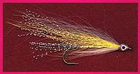 GOLDEN SHINER Image