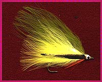 Keeled Golden Shiner - Fly Tying - Maine Fly Fish