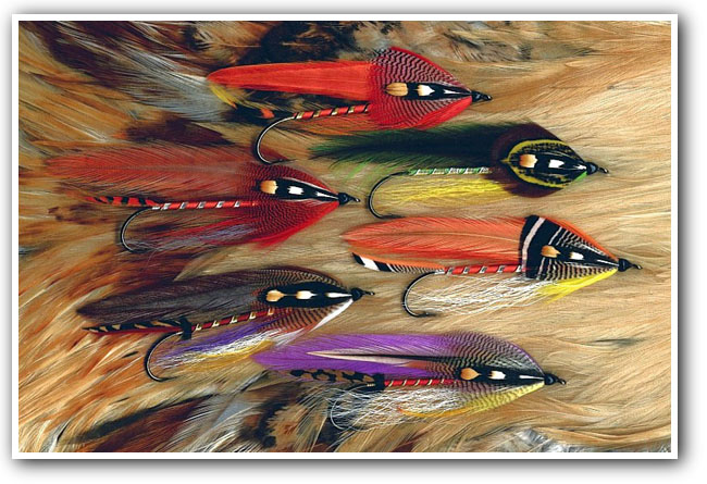 Salmon Fly Hooks By Paul Rossman Signed Autograph Fly Fishing