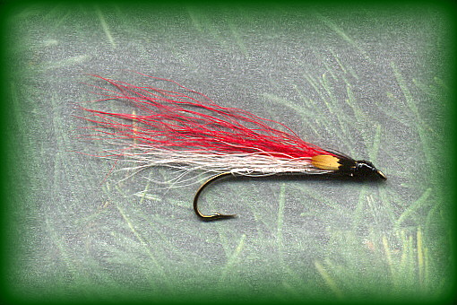 320 Bonbright Streamer - Ted Patlen  Streamers, Feather wings, Salmon flies