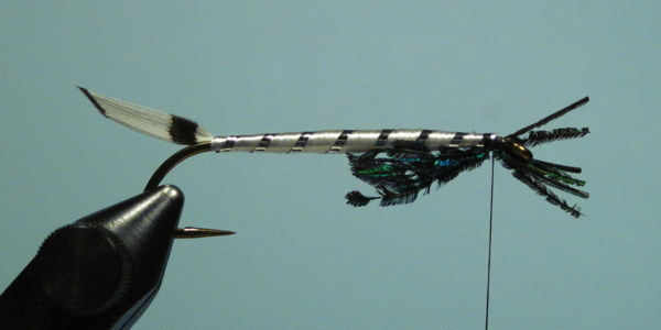 24 - Silver Darter, Global FlyFisher