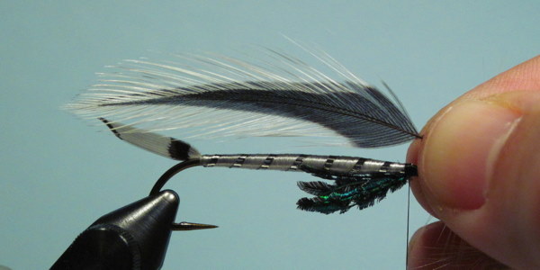 24 - Silver Darter, Global FlyFisher