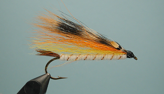 A Great Streamer for Trout: The JT Special –