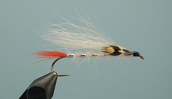 A Great Streamer for Trout: The JT Special –