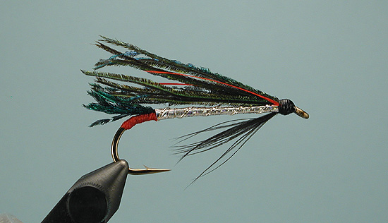 Alexandra Streamer, Global FlyFisher