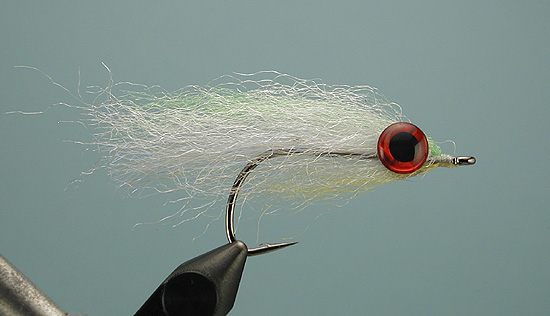 A Great Streamer for Trout: The JT Special –