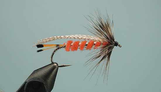 A Great Streamer for Trout: The JT Special –