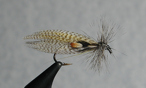 Fly Tying Friday - The Hornberg Streamer by Bill Ninke — Panfish