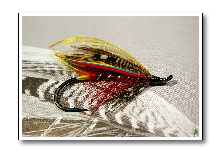 A collection of salmon flies in a fly box or reservoir, with a J.W. Young 