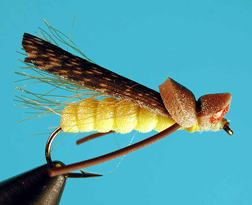 Theo's Stonefly Nymphs