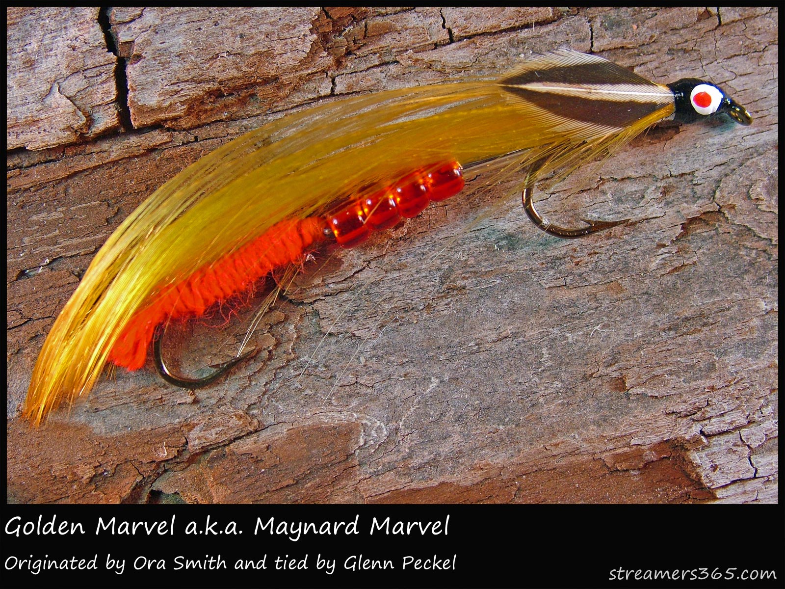 258 - Golden Marvel, Global FlyFisher