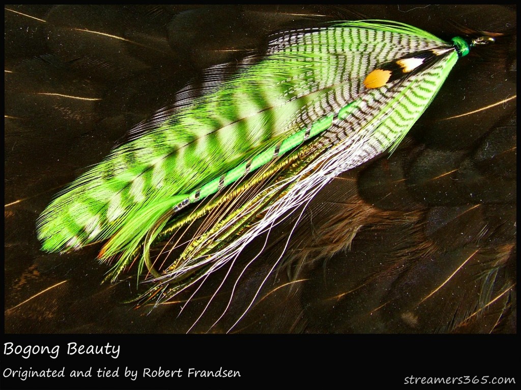 #164 Bogong Beauty - Robert Frandsen
