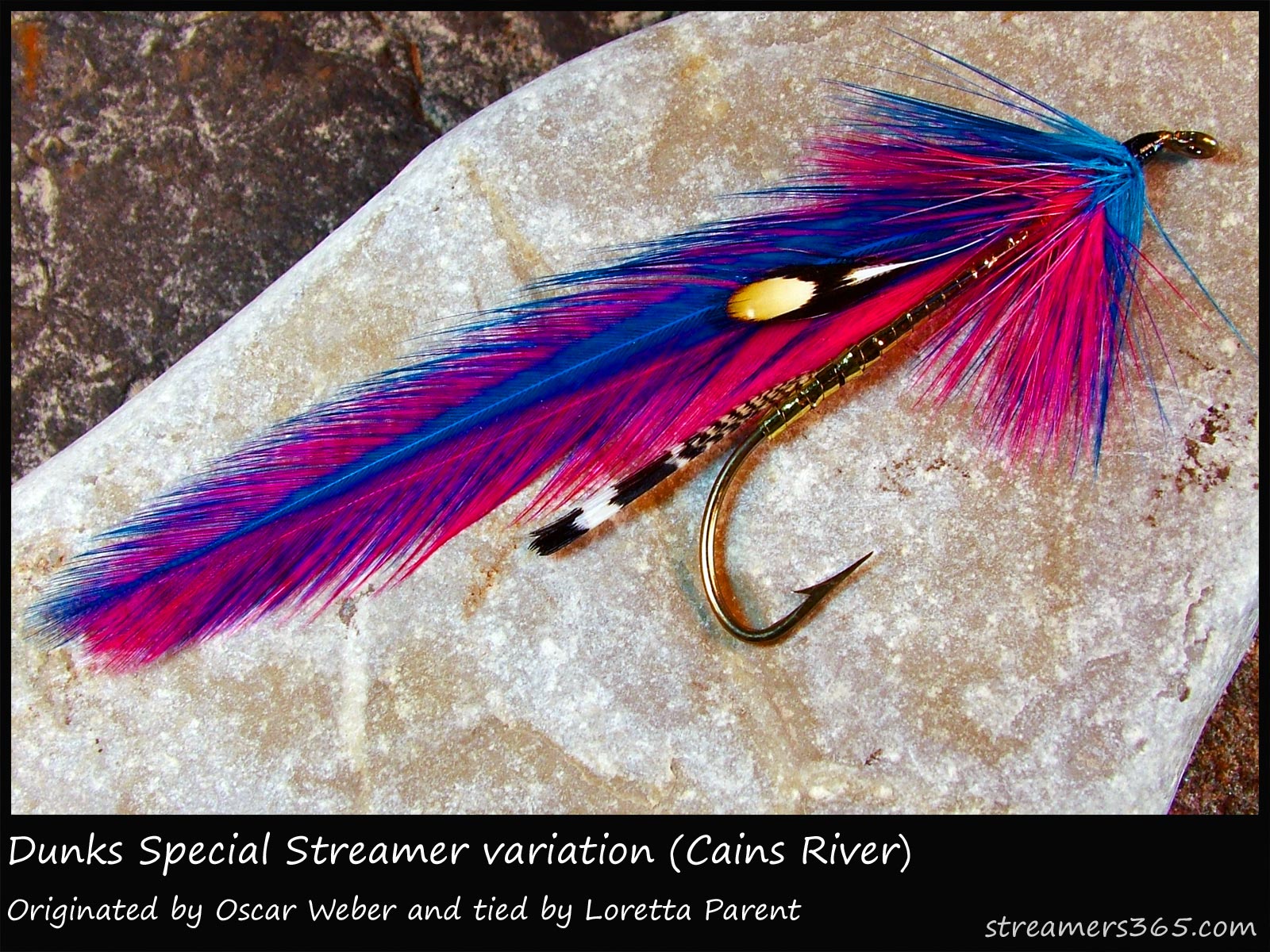 187 - Dunk's Special Streamer (Var) (Cains River), Global FlyFisher
