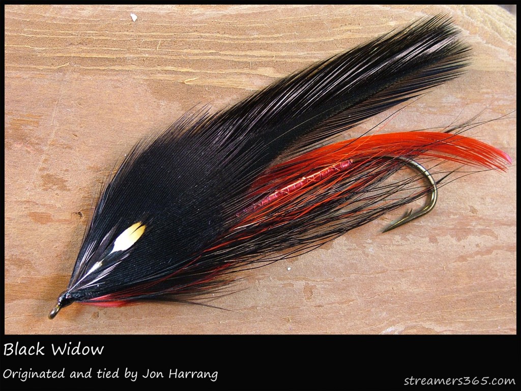 #215 Black Widow - Jon Harrang
