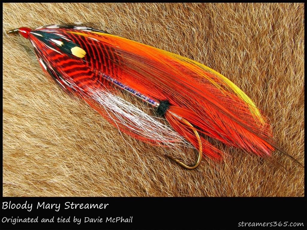 #240 Bloody Mary Streamer - Davie McPhail