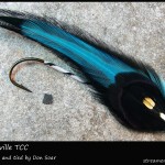 #256 Jacksonville - Team Colors Collection - Don Soar