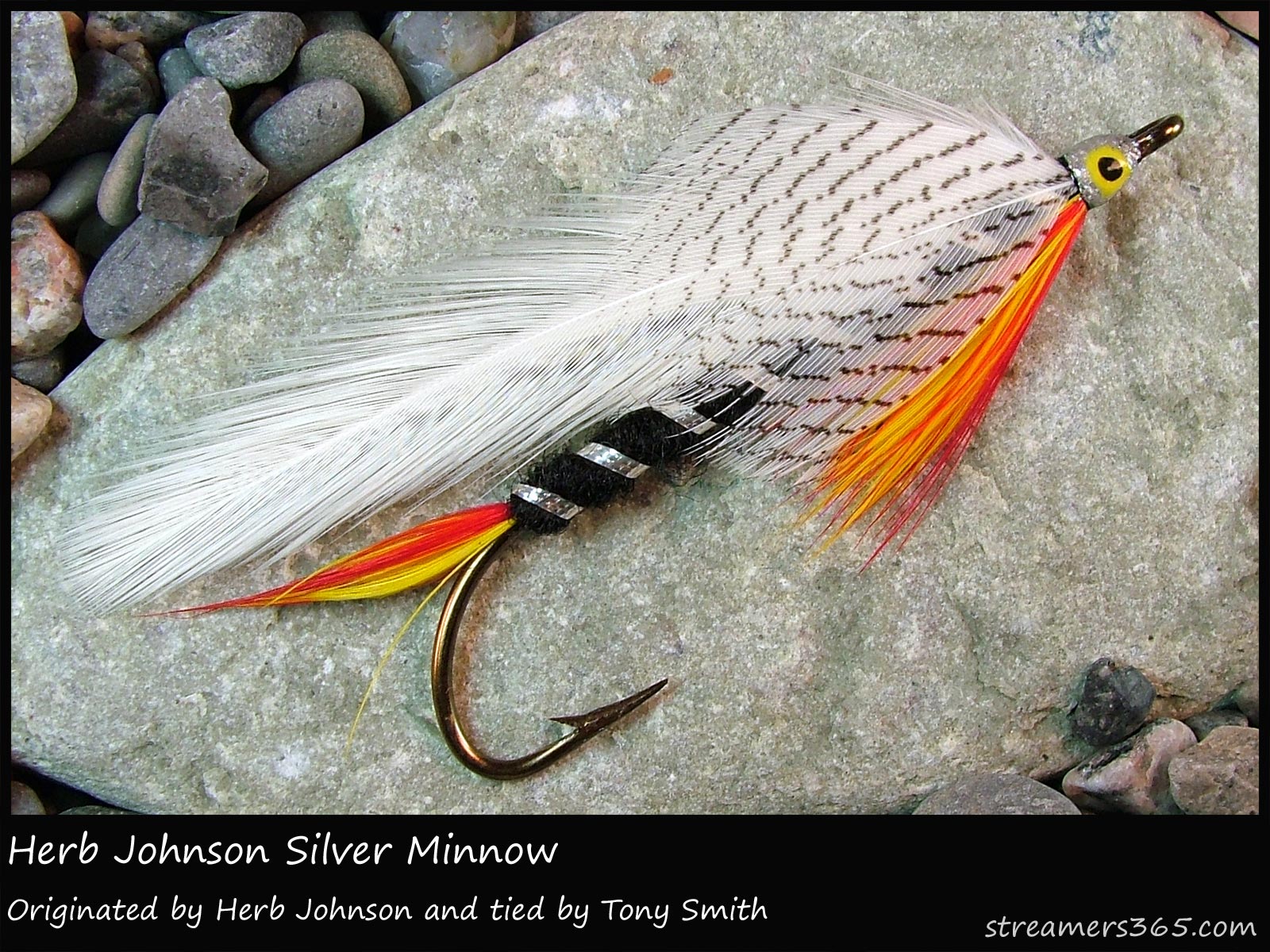 266 - Herb Johnson Silver Minnow, Global FlyFisher